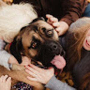 Meet your Posher, Jody